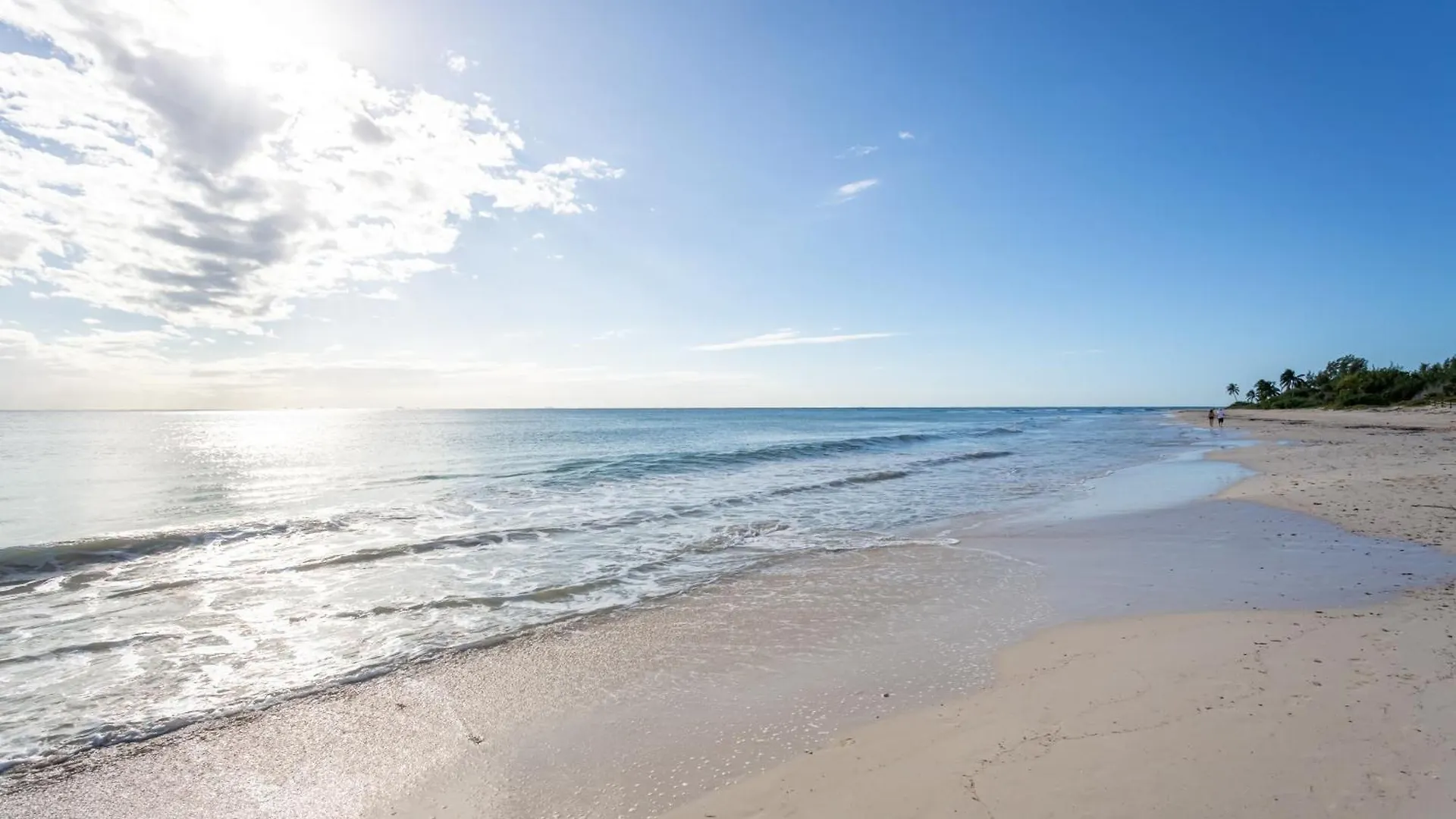 アパート Casa Los Mares Ocean Front Penthouse Condo プレヤデルカーメン