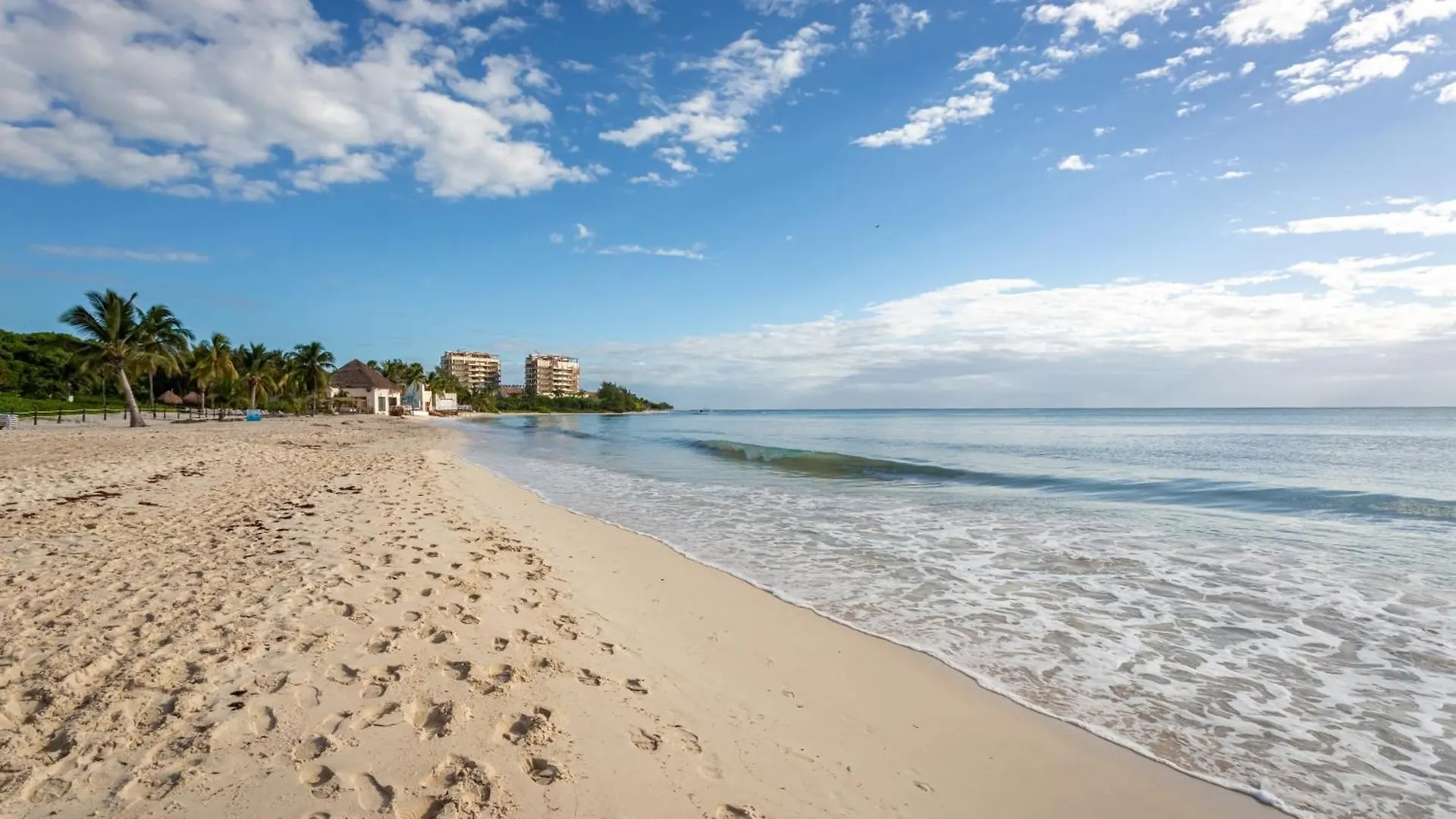 Casa Los Mares Ocean Front Penthouse Condo プレヤデルカーメン アパート